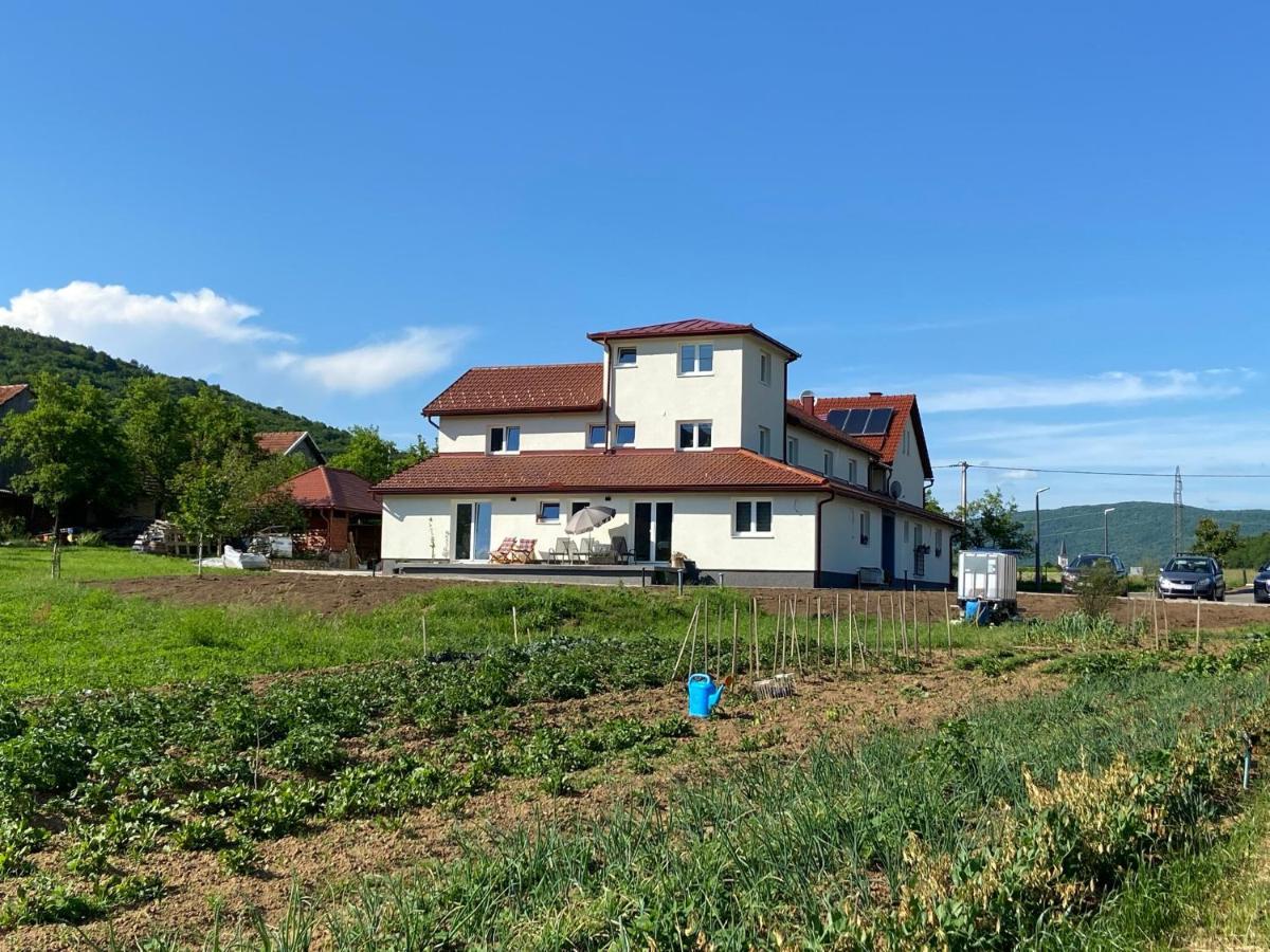 Apartman Fenestra S Terasom I Pogledom Na Gacku Otocac Bagian luar foto